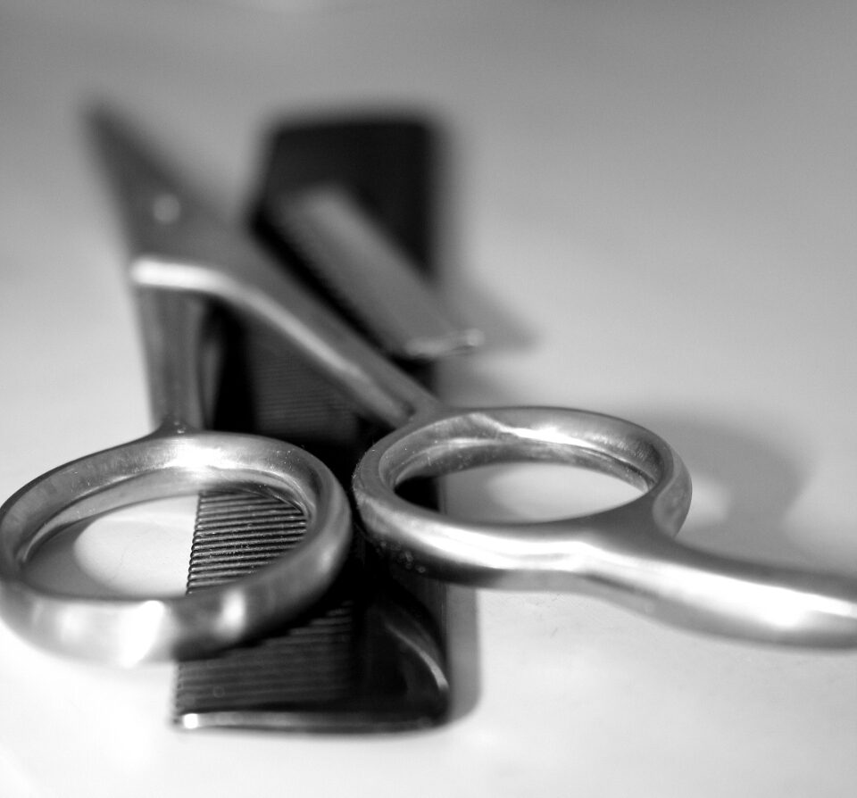 Cutting shears resting on a comb