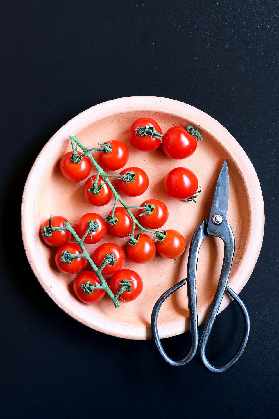 Tomatoes ready for preparation